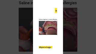 saline irrigation in nasal allergies physiology  medicalcareofhowkents vlog shorts [upl. by Eceeryt338]