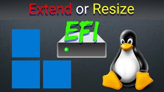 Grub Bootloader Installation Error Need to Extend and Resize the EFI Partition  StepbyStep Guide [upl. by Nus]