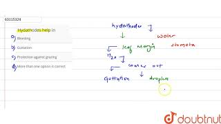 Hydathodes help in [upl. by Kohn]