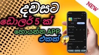 දවසට ඩොලර් 5 ක් හොයන්න APP එකක් PLAY GAMES AND EARN MONEY  Lovely plants  USD [upl. by Niawat]