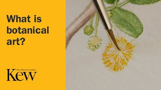 What is botanical art [upl. by Aciretehs843]