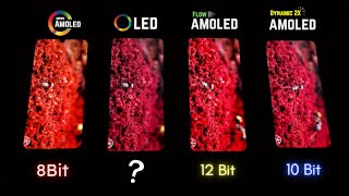 Super AMOLED vs OLED vs Flow OLED vs Dynamic AMOLED 2X  Display Test [upl. by Laufer]