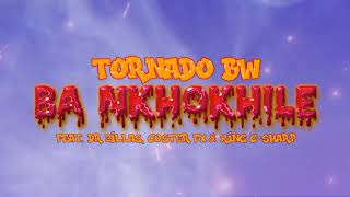 Tornado  Ba Nkhokhile ft Dr Zillas Coster Fx amp King CSharp Official Audio [upl. by Latsyc]