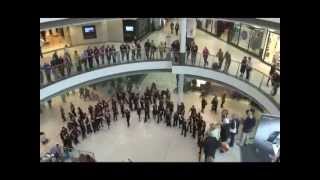 An unforgettable flash mob sings [upl. by Ainollopa]