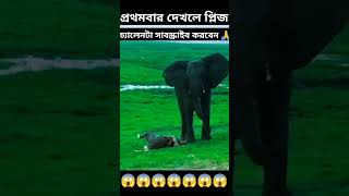 প্রথমবার দেখলে প্লিজ চ্যানেলটাকে সাবস্ক্রাইব করে দেন music love arabic топ motivation ringtone [upl. by Reseda]