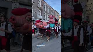 lo Tossino i la Verreta de Tàrrega Tres Tombs de Sant Antoni [upl. by Akimahs]