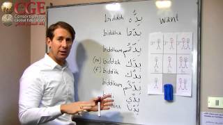 How to say quotI want  I want toquot in Jordanian  Palestinian Arabic beginner lesson [upl. by Beitch]