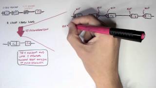 Immunology  Antibody Somatic VDJ Recombination II [upl. by Roath]