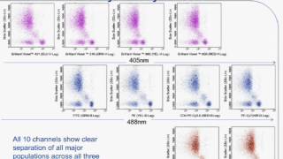 Simplified Benchtop Multicolor Flow Cytometry for Immune and Cancer Cell Analyses [upl. by Nemaj]