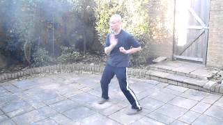 Wing Chun Forms First Form  Siu Lim Tau  Performance Version [upl. by Nevuer]