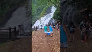 cachoeira turismo nature [upl. by Ecinrahs]