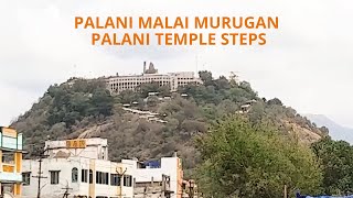 Palani Malai Murugan  Palani Temple Steps [upl. by Leibman]