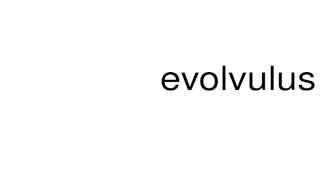 How to pronounce evolvulus [upl. by Arataj888]