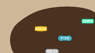 The tumour suppressor protein PTEN [upl. by Hackathorn]