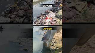 Day 2  Cleaning the most polluted river of india shorts [upl. by Jeritah797]