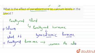 What is the effect of parathormone on calcium levels in the blood [upl. by Ayvid]