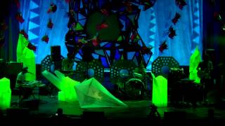 Animal Collective Live at Prospect Park Centipede Hz DVD [upl. by Maidy]