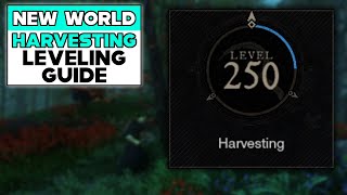 FASTEST Harvesting guide  New World Aeternum  New World Gathering Guide [upl. by Rebhun]