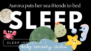 Sea Animals Go To Bed Sensory Ocean Baby Video with Aurora [upl. by Burny128]