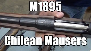 M1895 Chilean Mausers by DWM  Various Grades For Sale [upl. by Runstadler]