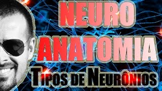 Tipos de neurônios Multipolar Bipolar e PseudoUnipolar  Sistema Nervoso  Vídeo Aula 090 [upl. by Etnaihc747]