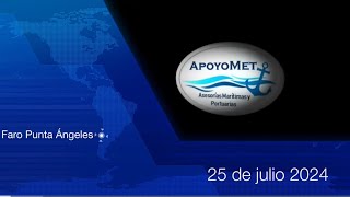 25 de julio de 2024 pronóstico meteorológico para Región de Valparaíso y Santiago EspinosaMeteo [upl. by Deacon]