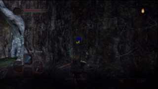 Dark Souls 2 How To Find Snuggly The Crow  Snuggly Crows Location [upl. by Crescantia763]