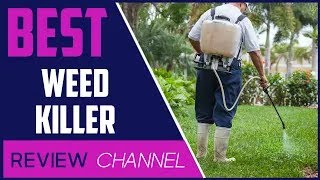 ✅ Best weed killers for lawns 2024 [upl. by Belanger650]