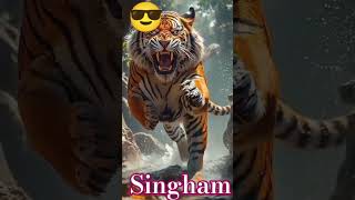 Dhaakad action video Sher Vs Singham returns full dhamaka status video hin hindi 😡😎🤨20112024 [upl. by Elleoj]