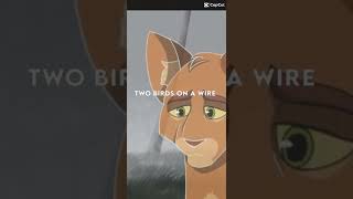 Firestar x Sandstorm sad edit  Warrior cats [upl. by Mulvihill]