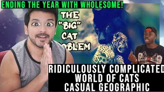 The Ridiculously Complicated World of Cats by casual geographic reaction [upl. by Odracir]