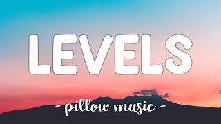 Levels  Avicii Lyrics 🎵 [upl. by Peoples]