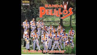 MIX DE CUMBIAS BANDA PELILLOS [upl. by Ecirual]