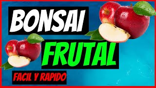 COMO HACER UN BONSAI FRUTAL MUY FÁCIL Y RÁPIDO introducción😉🌳 [upl. by Krystle]