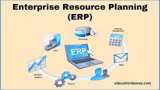 What is Enterprise Resource Planning ERP [upl. by Takken633]