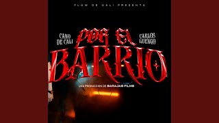 Por El Barrio feat Carlos Luengo [upl. by Anaehr]