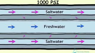 How Desalination Works [upl. by Emor913]