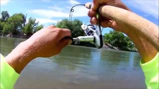 montana trout fishing on the clark fork of the bitterroot river in missoula [upl. by Yusuk]