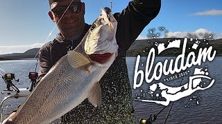 How to Catch 12 Kabeljou in One Day  Mastering Live Bait Fishing [upl. by Bilak]