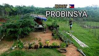 Simple but nutritious boodle fight in province Life in the Mountain Biag ti Away by balong [upl. by Daughtry]