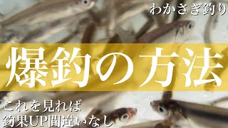 《ワカサギ釣り》これが出来れば誰でも爆釣間違いなし！？【爆釣の方法】 [upl. by Annor]