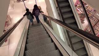 2x ThyssenKrupp Escalators in Department Store Galeria in Erlangen 4K HDR [upl. by Aisan]