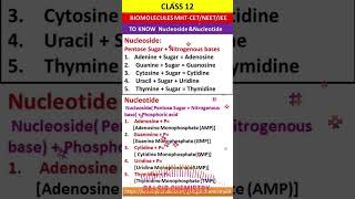 nucleotides structurebiomolecules biomoleculespyq [upl. by Nylikcaj]