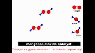 How catalysts work Heterolytic and Homolytic Catalysis [upl. by Wagstaff730]