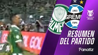 Palmeiras 1 x 0 Grêmio I Resumen del partido I Brasileirão 2024 [upl. by Asilahs752]