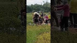 Rice Farmers farming philippines [upl. by Innavoj714]