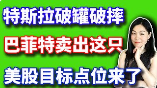 美股：这次标普必上这个点，特斯拉股东失望得摔杯子。【20241011】 [upl. by Flory915]