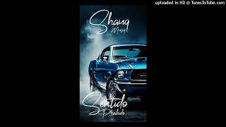 ShauqMusiq  Sentido Proibido Remix ftTwenty fingers [upl. by Artied]