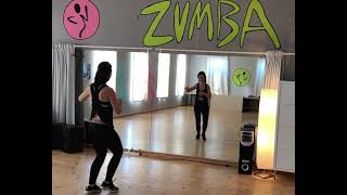 „schüttel dein Speck“ by Peter Fox Zumba Fitness Dance mit Vivi [upl. by Baruch]