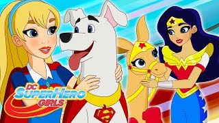 Best Beast Boy Episodes  DC Super Hero Girls [upl. by Alexandros]